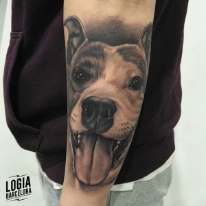 tatuaje_brazo_retrato_perro_Logia_Barcelona_Pablo_Munilla    